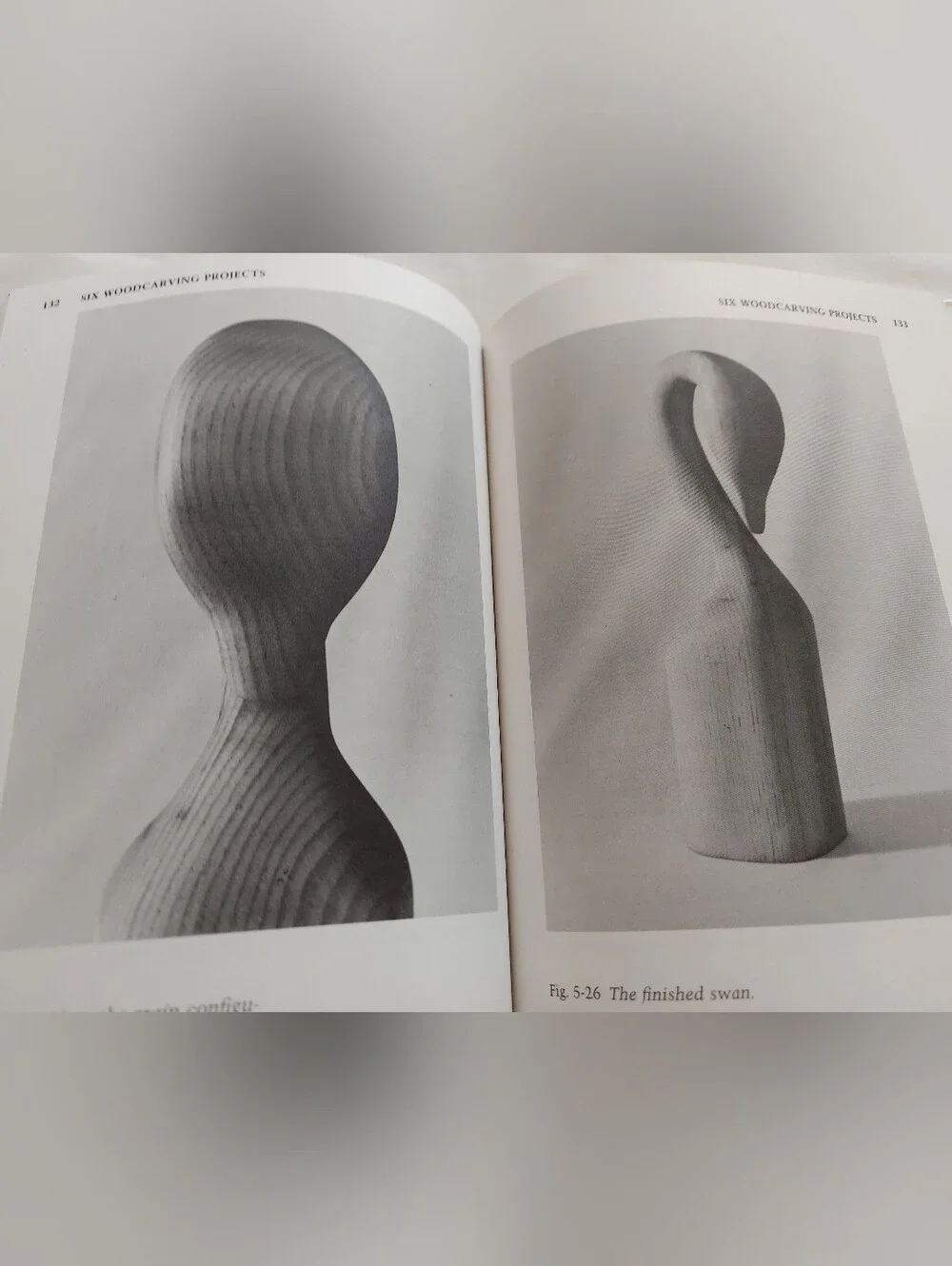 Woodcarving Simplified by Graciela L. Fazzalare-Chilton Hobby Series-illistrated